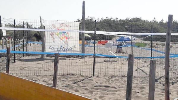 Dal nido verso il mare Nati 16 tartarughini Attese nuove schiuse
