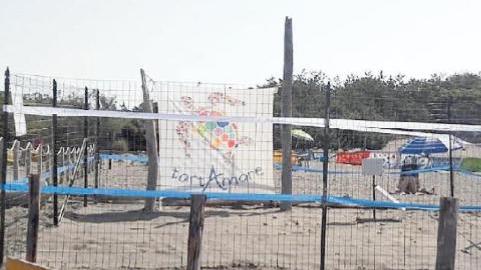 Finite le schiuse, 47 i nati di tartaruga Caretta caretta