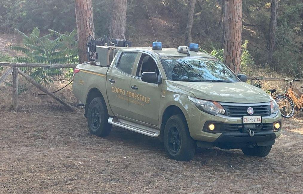 Strage di cani e gatti per far pascolare il gregge di pecore 