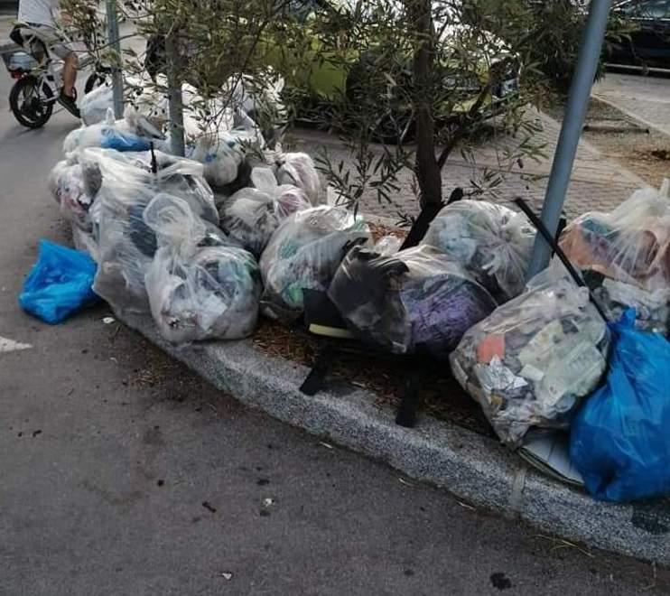 Volontari in campo, 35 sacchi di sporcizia e 87 mascherine