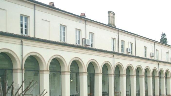 Acquista materiale equestre e poi invia un falso bonifico