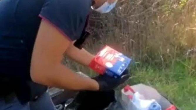 Nella boscaglia di Cisanello trovate scorte di cibo rubato