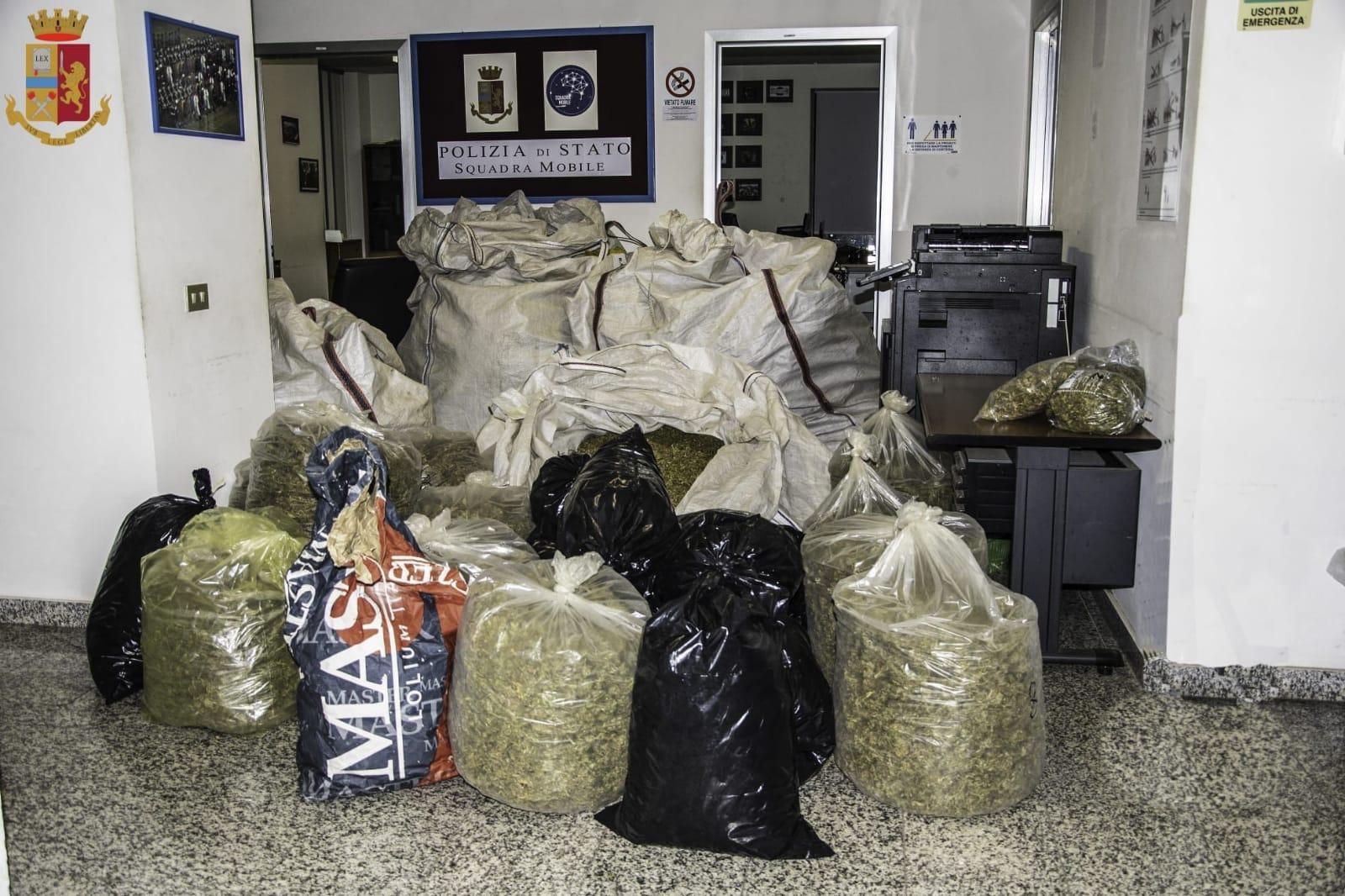 Maxi sequestro di marijuana a Marrubiu: arrestato un pastore
