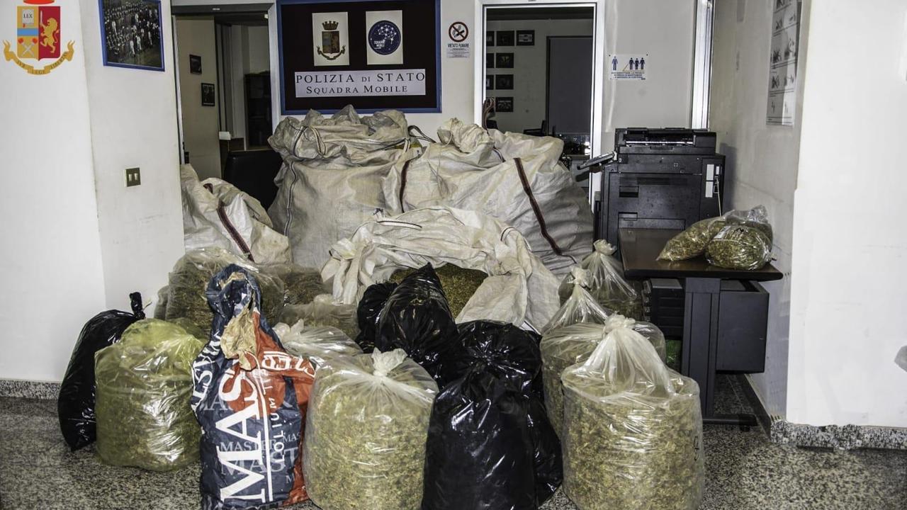 Maxi sequestro di marijuana a Marrubiu: arrestato un pastore