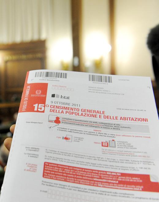 Gli ambientalisti: blindate gli alberi di piazza Statuto