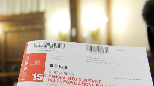 Gli ambientalisti: blindate gli alberi di piazza Statuto