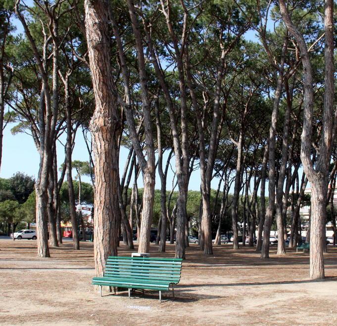 Chi ha la “borsa lavoro” si occuperà dei parchi