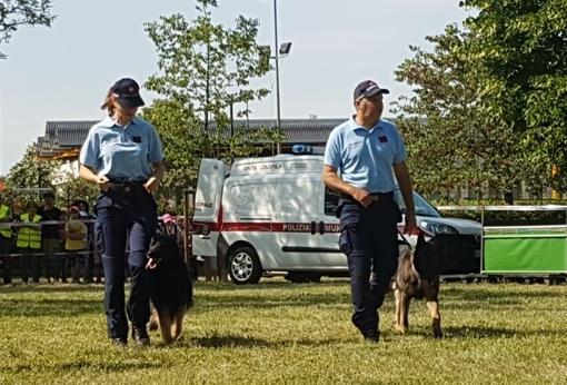 Arrivano gli “eredi” di Akron e Devil Curcio: fateli lavorare