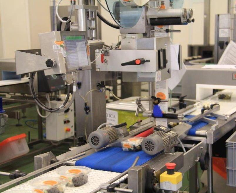 Ex Copaim, 53 lavoratori a casa Il vescovo: «Prego per voi» 