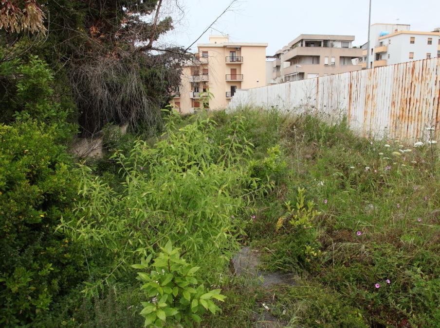 Cumuli di immondizia a due passi dal lungomare 