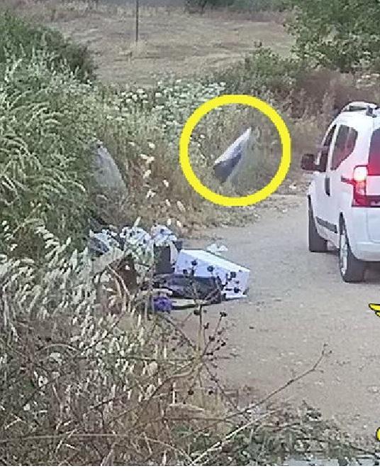 Furbetti della spazzatura 24 sanzioni e una denuncia 