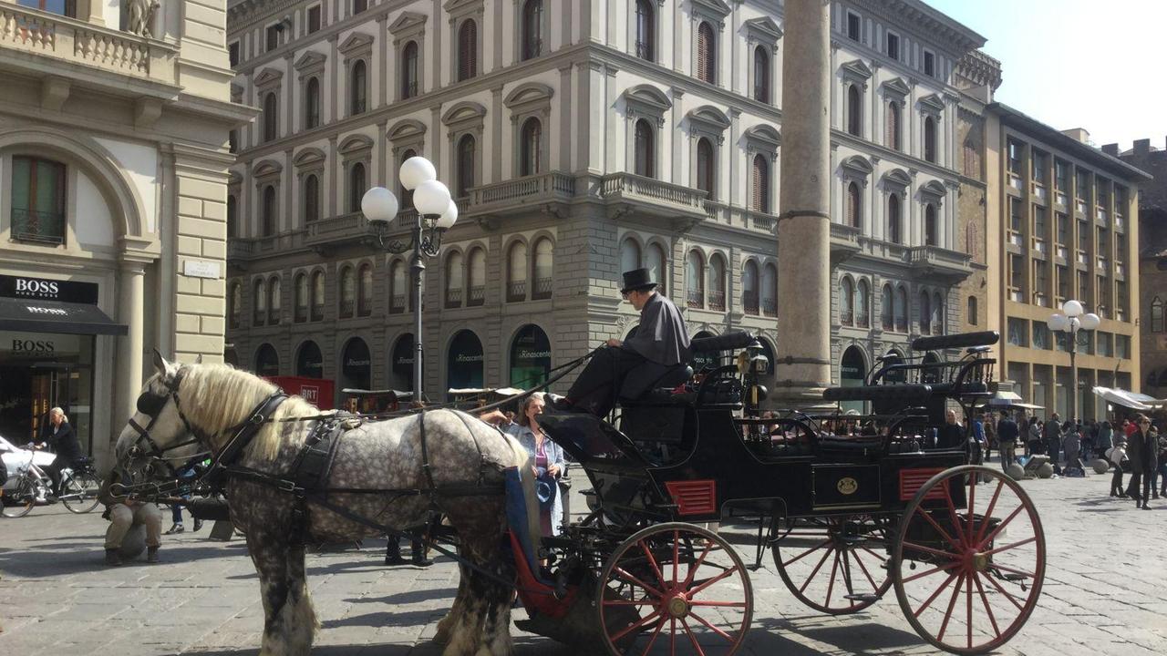 Carrozza con cavalli a Firenze, dove è consentito