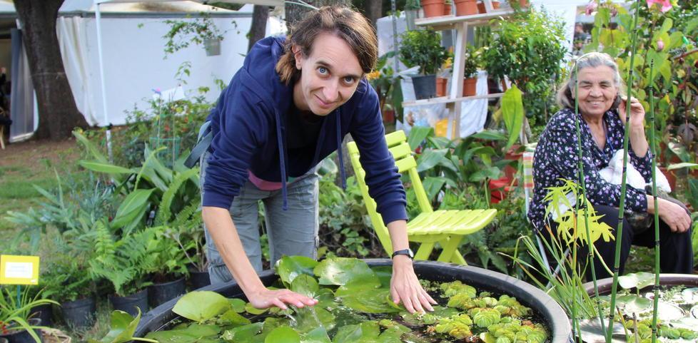 In alto lo scatto realizzato in una delle passate edizioni di Harborea, che per tre giorni tornerà a colorare il parco di Villa Mimbelli