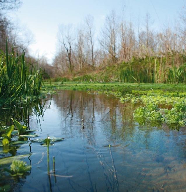 Giornate Fai alla riscoperta del lago di Porta