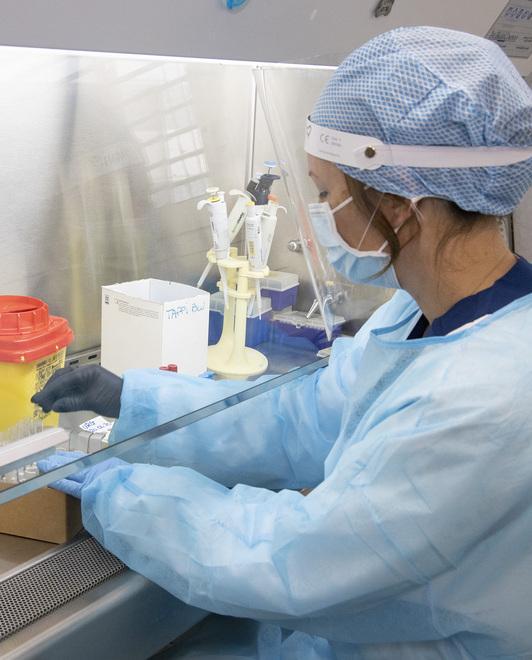 Covid, solo sette nuovi positivi La terapia intensiva resta vuota 