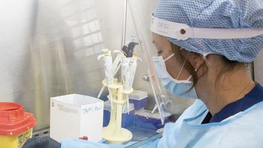 Covid, solo sette nuovi positivi La terapia intensiva resta vuota