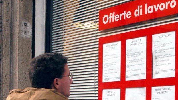 In Maremma nei prossimi mesi sono previste migliaia di opportunità di lavoro (Foto d'archivio)