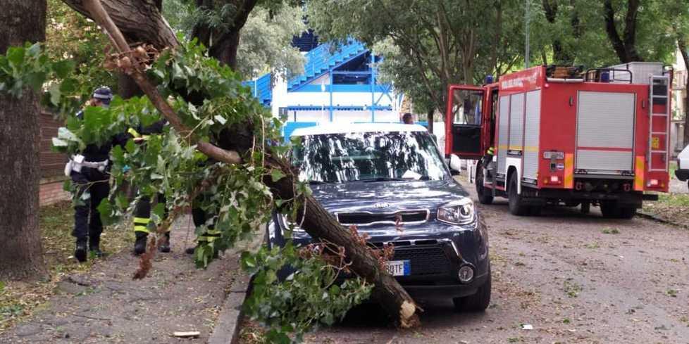 Ramo caduto in via Fortezza