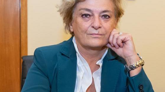 Pini sul viale Carducci Città Futura non molla