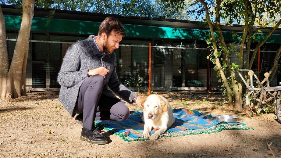 Ferrara, adozioni al canile: "Diamo una seconda vita a 39 animali"