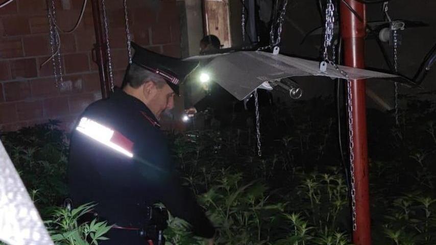 Carabinieri all'interno della parte di capannone di via Poggio Baldini dove sono state rinvenute e sequestrate oltre 300 piante di cannabis indica