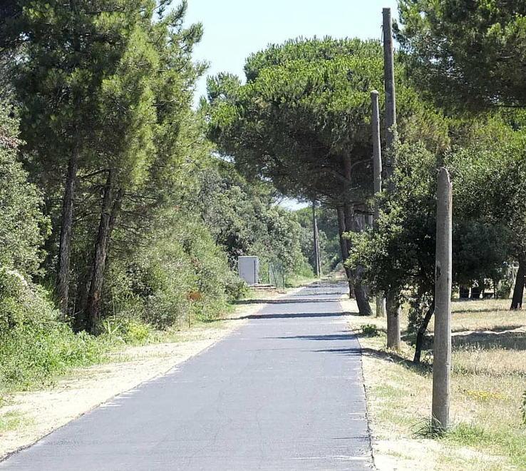 La pista ciclabile del Trammino arriverà a Tirrenia, via libera al progetto 