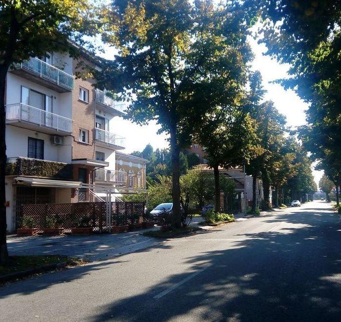 Carpi, la ciclabile della discordia: «Farà perdere venti parcheggi» 