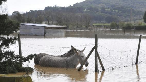 A 9 anni dall’alluvione di Albinia «Le promesse sono rimaste tali»