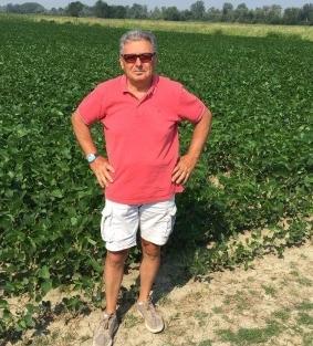 Sorgo più resistente al clima di siccità Le prospettive sono in aumento 