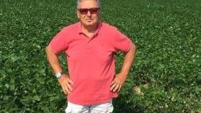 Sorgo più resistente al clima di siccità Le prospettive sono in aumento