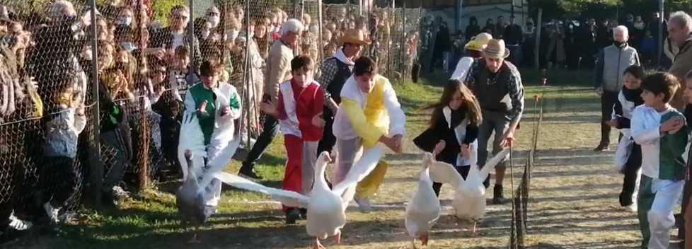 I paperi Dante e Beatrice portano in trionfo Buecchio - Foto