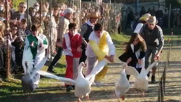 I paperi Dante e Beatrice portano in trionfo Buecchio - Foto
