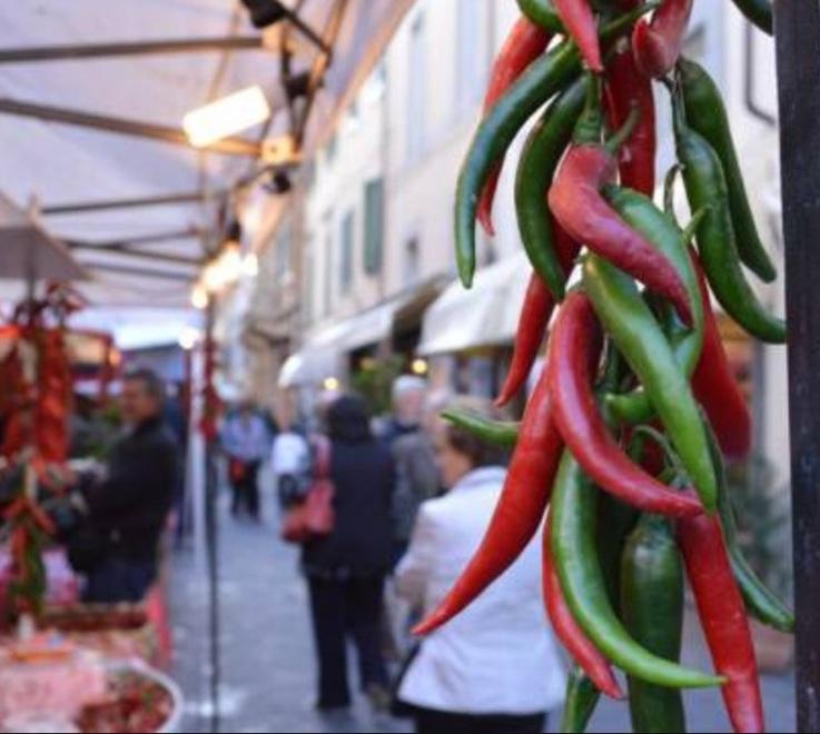 L’influencer Diletta Secco tra gli ospiti della “Festa Pic”