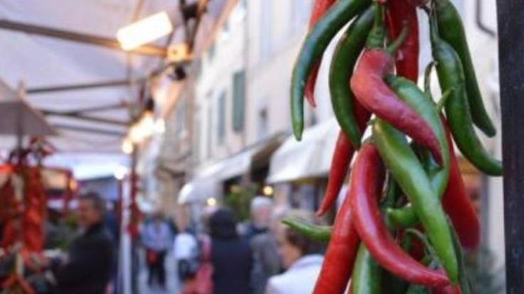 L’influencer Diletta Secco tra gli ospiti della “Festa Pic”