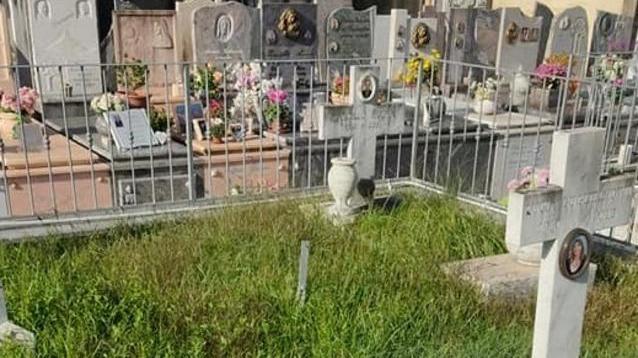 Incuria ed erba alta al cimitero della Badia