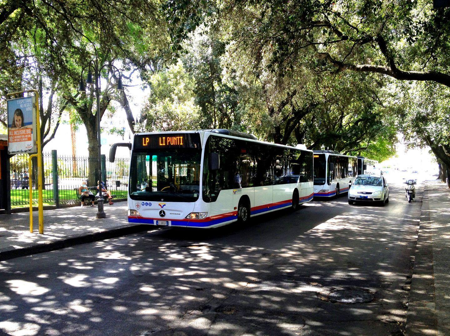 Oggi la potatura degli alberi ai giardini pubblici 