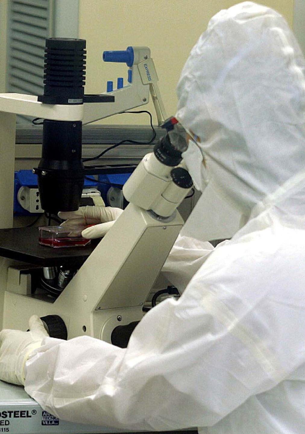 La Cassazione: per la ricerca sul Dna serviva il consenso 