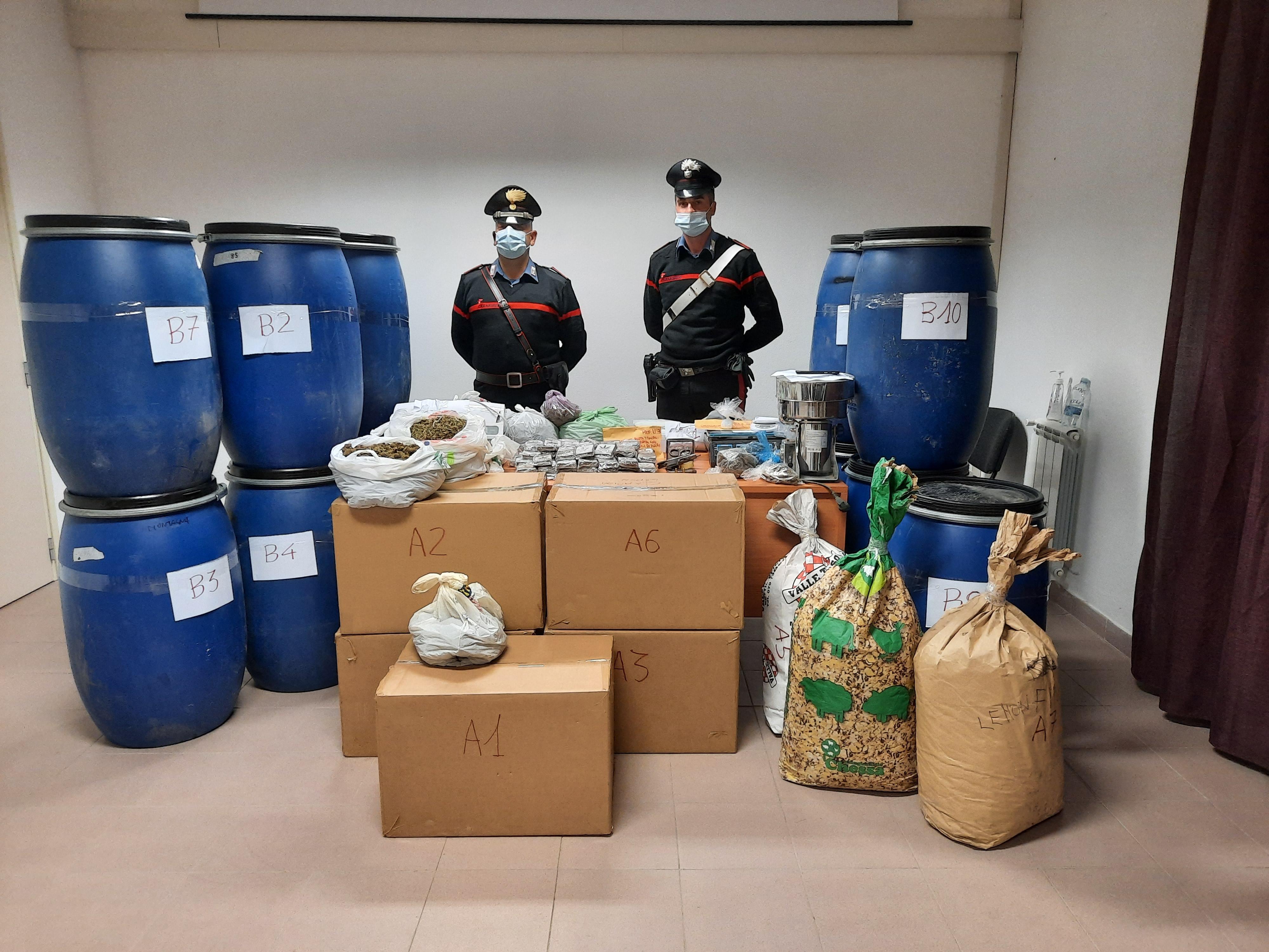 Odore di marijuana in strada a Burgos: i carabinieri scoprono una raffineria con 117 chili di droga