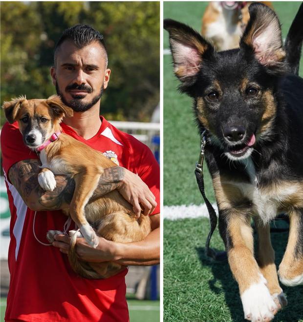Il Lentigione Calcio in campo con i cuccioli Heidy e Luce 