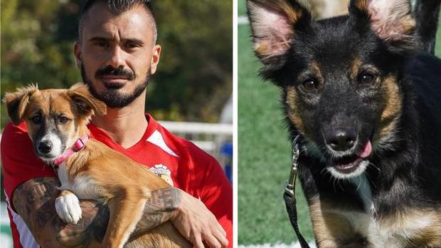 Il Lentigione Calcio in campo con i cuccioli Heidy e Luce