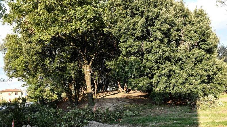 A San Concordio iniziate le demolizioni per la galleria coperta
