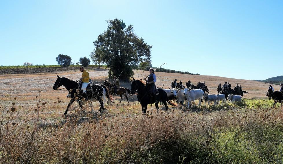 L’antica transumanza rivive con i butteri della Fattoria di Pomonte 
