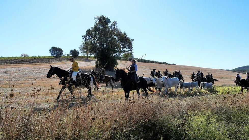 L’antica transumanza rivive con i butteri della Fattoria di Pomonte