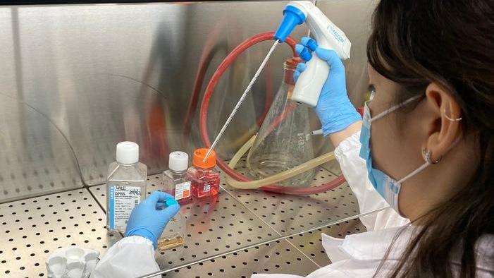 I meccanismi virali della diffusione del Covid