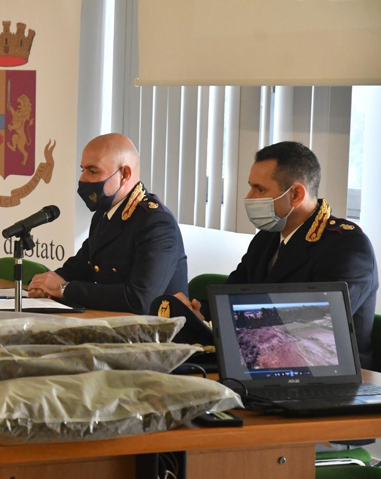 Vanno in cella i coltivatori di marijuana 