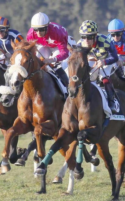 San Rossore riapre al galoppo Ecco i favoriti