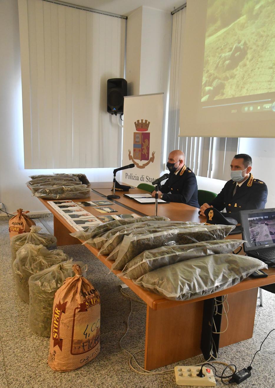 Sotto sequestro il campo con la maxi piantagione