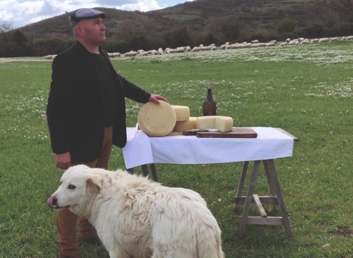 Morigadu, l’oro di Osilo sa di formaggio 