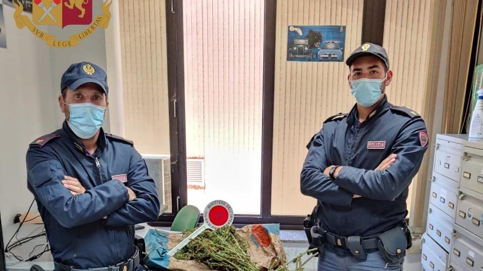 Ventitré chili di marijuana nel fuoristrada a Nuoro: arrestati due allevatori