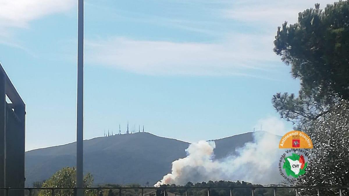 Capannori, a fuoco una pineta sopra l'abitato di Sant'Andrea di Compito